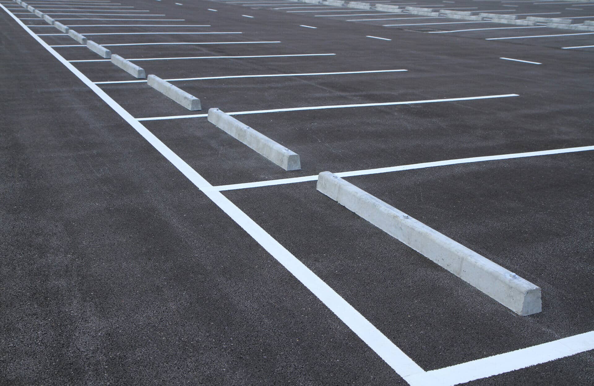 freshly painted parking lot striping